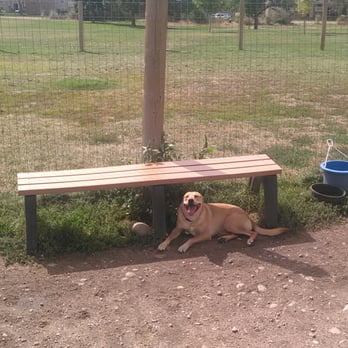 Fruitdale Park - Iris chillin out - Dog Parks Near Me - Wheat Ridge, Colorado Fruitdale Park - Iris chillin out - Dog Parks Near Me - Wheat Ridge, Colorado