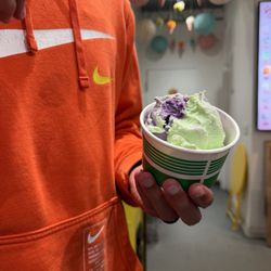 Gator Ice Cream