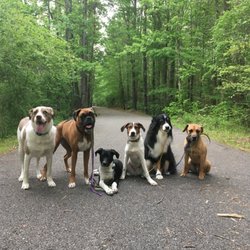 Wag n ride - Helena, Alabama