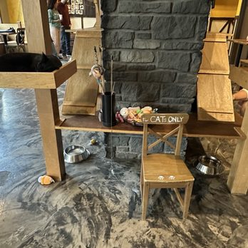 Seattle Meowtropolitan - Entry - Themed Cafes Near Me - Seattle, Washington