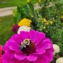 Photo of Waupaca Chain O Lakes Plant Garden Lawn Care