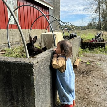 Bode Farms Rescue & Sanctuary - Campgrounds Near Me - Ferndale , Washington Bode Farms Rescue & Sanctuary - Campgrounds Near Me - Ferndale , Washington