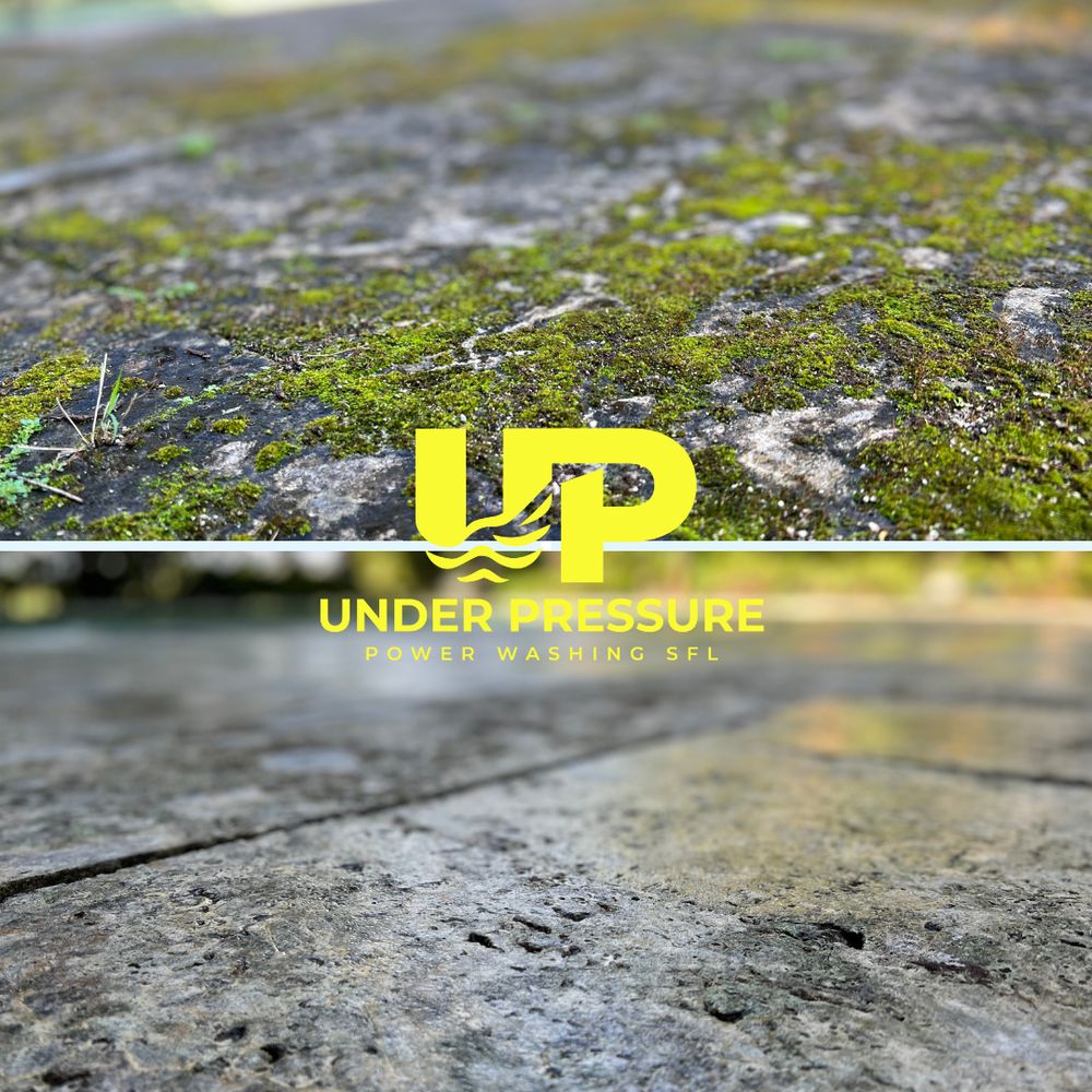 Slide of Under Pressure Power Washing SFL