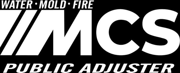 Master Consulting Services Logo