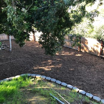 De La Rosa Landscaping - We ONLY asked for the mulch, so don't judge de la Rosa on the rest of the yard. We will work on that in stages. The mulch is perfect. - Landscaping Near Me - San Diego, California De La Rosa Landscaping - We ONLY asked for the mulch, so don't judge de la Rosa on the rest of the yard. We will work on that in stages. The mulch is perfect. - Landscaping Near Me - San Diego, California