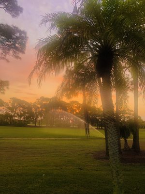 Palmetto-Pine Country Club by null