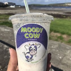Moody Cow - Cute branding