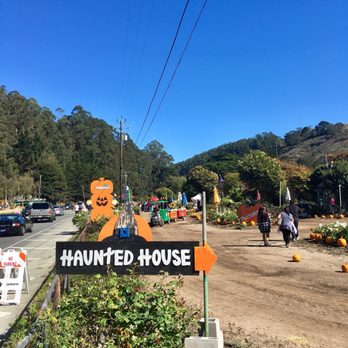 Pastorino's Flowers - Florists Near Me - Half Moon Bay, California
