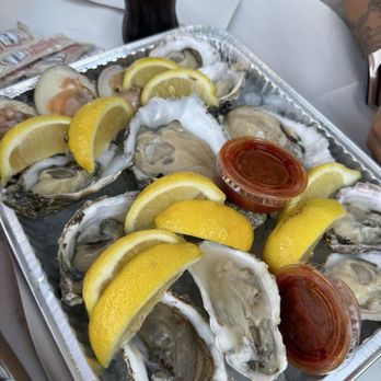 Quality Seafood - Steve special choices of oysters! - Seafood Markets Near Me - Redondo Beach, California Quality Seafood - Steve special choices of oysters! - Seafood Markets Near Me - Redondo Beach, California