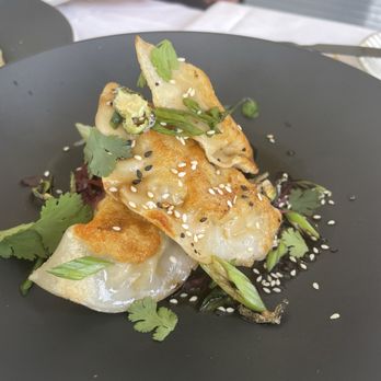 The Dinner House - Dumplings - Comfort Food Near Me - Glover, Vermont