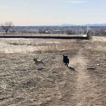 Westminster Dog Park - Fast and faster - Dog Parks Near Me - Westminster, Colorado Westminster Dog Park - Fast and faster - Dog Parks Near Me - Westminster, Colorado