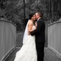 Photo of Mark Luethi Photography