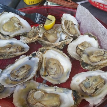Safe Harbor Seafood - Fresh shucked oysters - Seafood Near Me - Jacksonville, Florida Safe Harbor Seafood - Fresh shucked oysters - Seafood Near Me - Jacksonville, Florida
