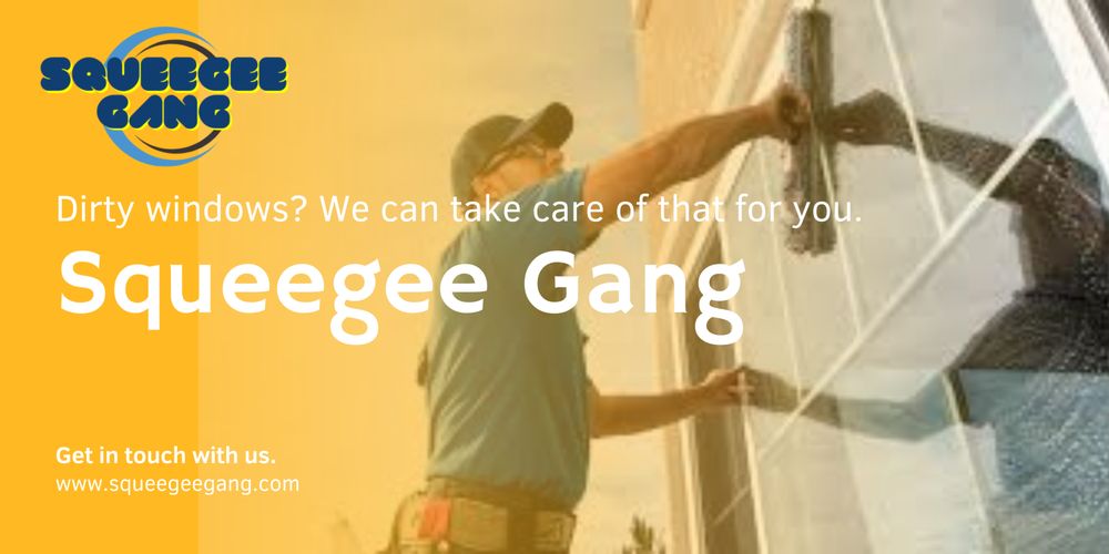 SQUEEGEE GANG Request a Quote 11 Photos 900 Commonwealth Pl