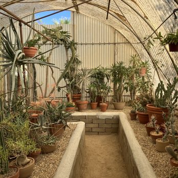 Moorten Botanical Garden - Nurseries & Gardening Near Me - Palm Springs, California Moorten Botanical Garden - Nurseries & Gardening Near Me - Palm Springs, California