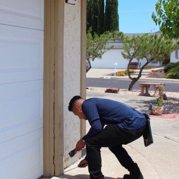 Prolific Inspections - Pest Control Near Me Prolific Inspections - Pest Control Near Me