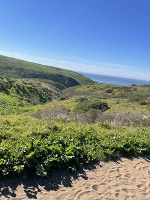 Tomales Bay Trailhead by null