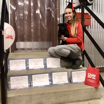 Camp Bow Wow - Tabby, our Certified Behaviorist displaying petigrees for all her current graduates! - Pet Training Near Me - Kansas City, Missouri Camp Bow Wow - Tabby, our Certified Behaviorist displaying petigrees for all her current graduates! - Pet Training Near Me - Kansas City, Missouri