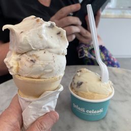 Chocolate Peanut Butter Ice Cream