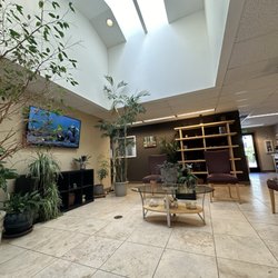MedicineWater’s Healing Oasis - The Lobby