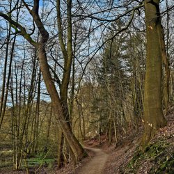 Alsterwanderweg
