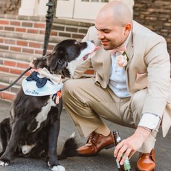 Happy Bark & Tails