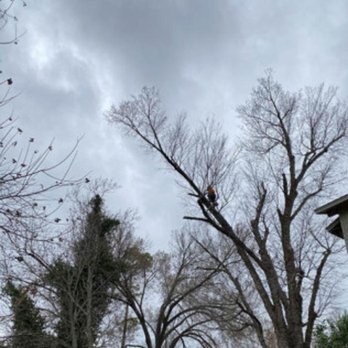 Perez Tree Care - Tree Services Near Me - Burnet, Texas Perez Tree Care - Tree Services Near Me - Burnet, Texas