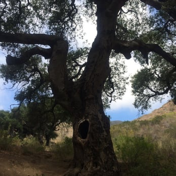 Solstice Canyon - Parks Near Me - Malibu, California Solstice Canyon - Parks Near Me - Malibu, California