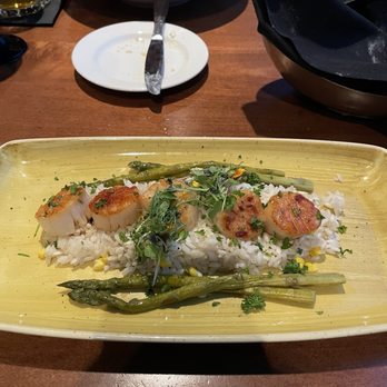 RumFish Grill and Sports Bar - Scallops - Seafood Near Me - St Pete Beach, Florida