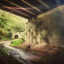 Halawa Ridge Trail - Underneath the H3