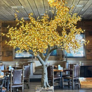 ROCKING K RANCH - Updated June 2025 - 317 Photos & 302 Reviews - 3969 W ...