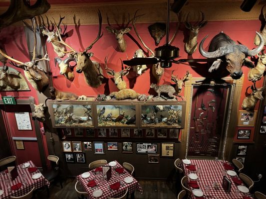 Buckhorn Exchange by null