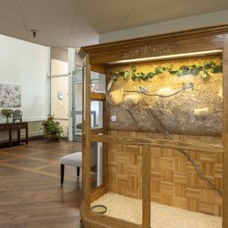 Golden San Andreas Care Center