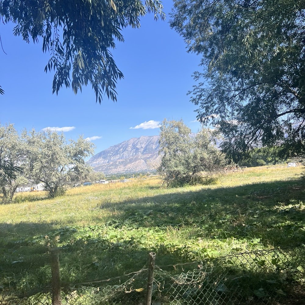Provo Canyon Recreation Trail - Beautiful views - Hiking Near Me - Provo, Utah Provo Canyon Recreation Trail - Beautiful views - Hiking Near Me - Provo, Utah