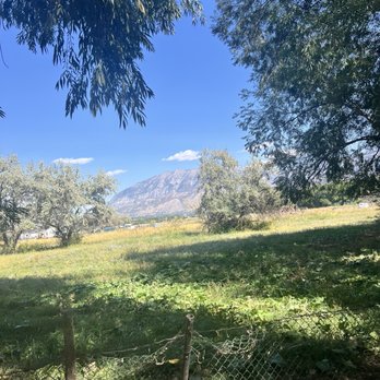 Provo Canyon Recreation Trail - Beautiful views - Hiking Near Me - Provo, Utah Provo Canyon Recreation Trail - Beautiful views - Hiking Near Me - Provo, Utah