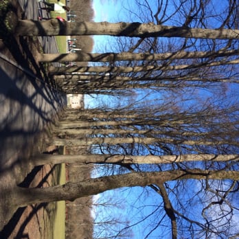 Frognerparken - Tree lined park - Landmarks & Historical Buildings Near Me - Oslo, 03 Frognerparken - Tree lined park - Landmarks & Historical Buildings Near Me - Oslo, 03