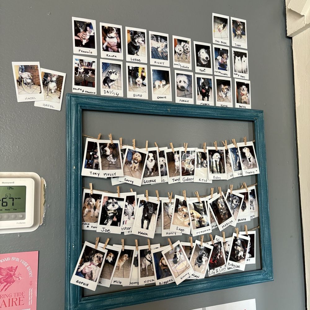 Proper Joe Coffeehouse - dog polaroid wall ! - Coffee & Tea Near Me - Snohomish, Washington Proper Joe Coffeehouse - dog polaroid wall ! - Coffee & Tea Near Me - Snohomish, Washington