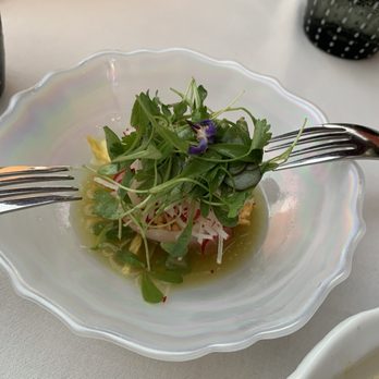 Citrin - Yellowtail Hamachi Crudo - Cocktail Bars Near Me - Santa Monica, California