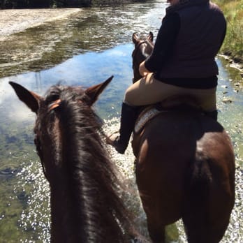 Chanslor Ranch - Riding in the stream on the ranch trails - Guest Houses Near Me - Bodega Bay, California Chanslor Ranch - Riding in the stream on the ranch trails - Guest Houses Near Me - Bodega Bay, California