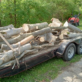 Lil' Red Tractor Services - Maple tree removal - Landscaping Near Me Lil' Red Tractor Services - Maple tree removal - Landscaping Near Me