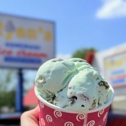 Ryan's Homemade Ice Cream - Pistachio hard ice cream