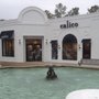 Photo of Calico
