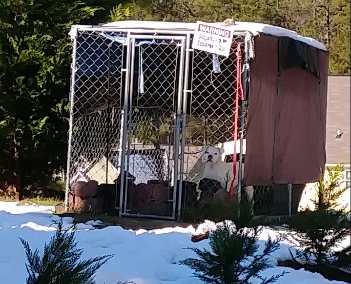 CARROLL COUNTY ANIMAL CONTROL Updated October 2024 251 Automation