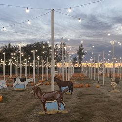 Punky's Pumpkins - Punky's Pumpkins- Beautiful setting with painted displays and wonderful string lighting.