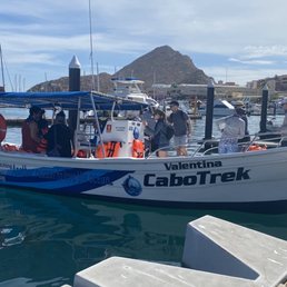 One of two boats that take tourists out to the whales.