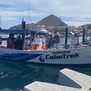 Cabo Trek - One of two boats that take tourists out to the whales. - Whale Watching Tours Near Me - Cabo San Lucas, BCS