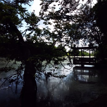 Brazos Bend State Park - Elm Lake Loop - Parks Near Me - Needville, Texas Brazos Bend State Park - Elm Lake Loop - Parks Near Me - Needville, Texas