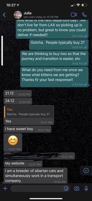 Photo of Kittens Up - Pembroke Pines, FL, US. Text 1 with Russian breeder we had bought through KittensUp