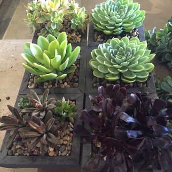 Rolling Greens - Home Decor Near Me - Los Angeles, California Rolling Greens - Home Decor Near Me - Los Angeles, California