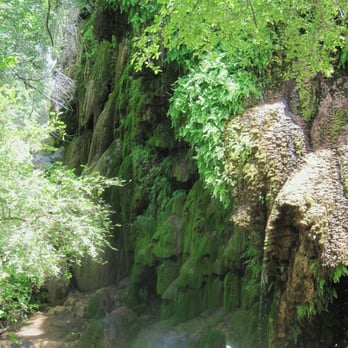 Colorado Bend State Park - A small view of some of the moss on the falls - Parks Near Me - Bend, Texas